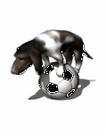 pic for Soccer Dog